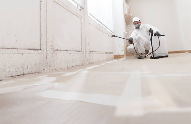 24/7 Emergency Mold Testing experts in Richardson, TX